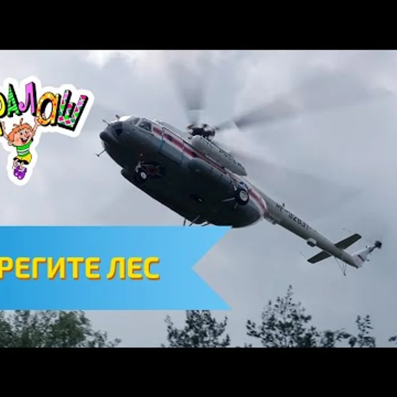 Берегите лес