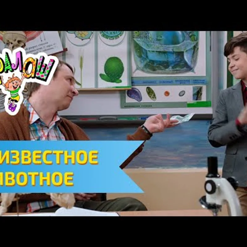 Неизвестное животное
