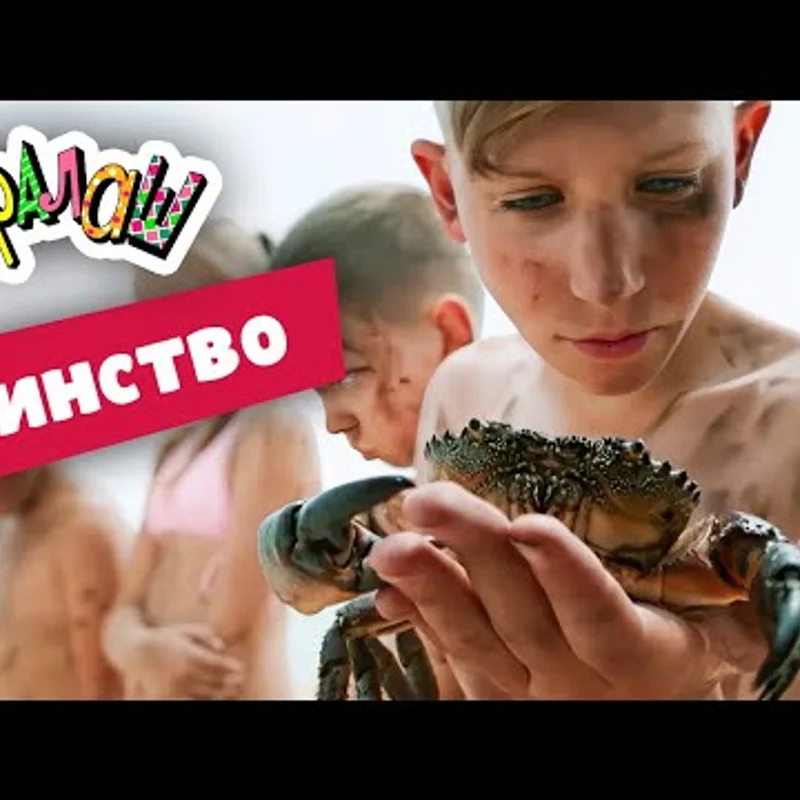 Свинство