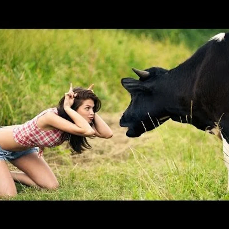 Город или деревня - где лучше жить?